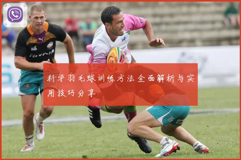 科学羽毛球训练方法全面解析与实用技巧分享