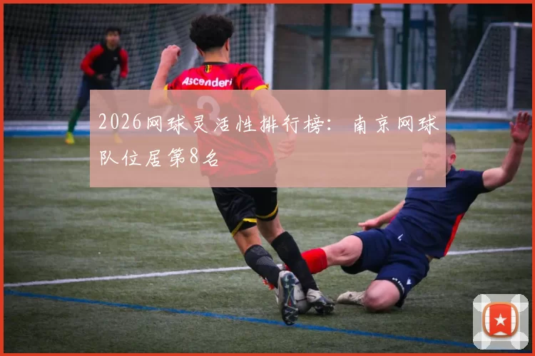 2026网球灵活性排行榜：南京网球队位居第8名