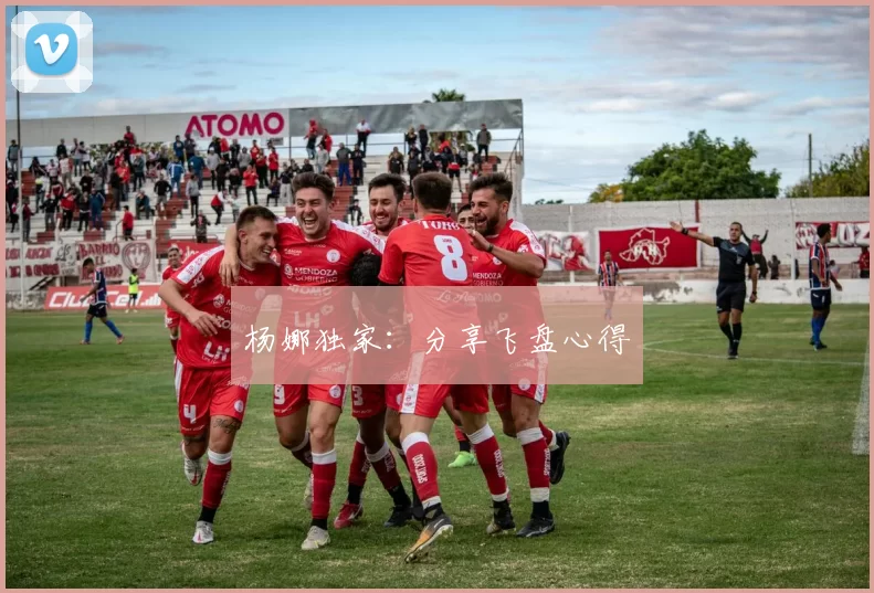 杨娜独家：分享飞盘心得