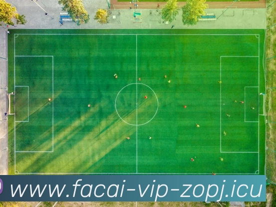 乐鱼体育品牌故事