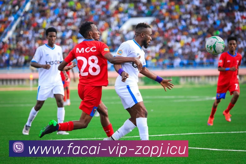 乐鱼体育服务体系